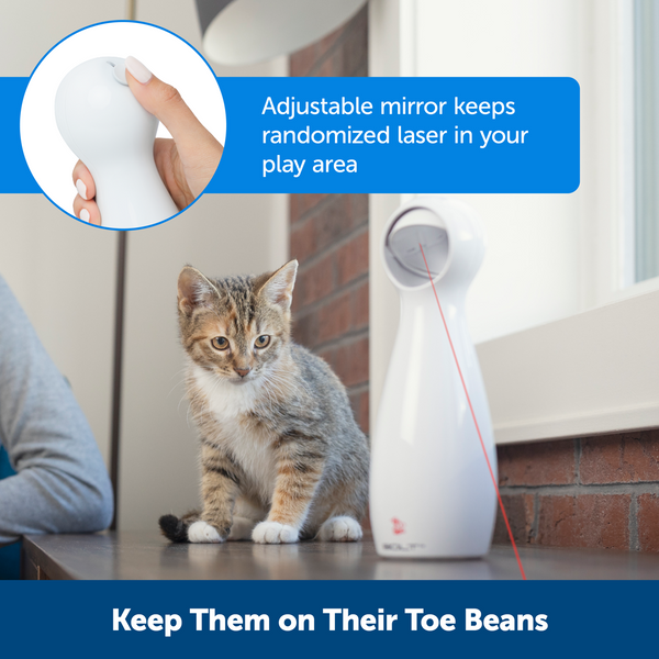 PETSAFE Bolt Cat Toy