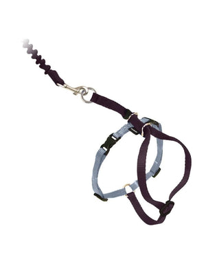 Come With Me Kitty Black