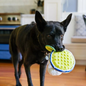 P.L.A.Y.  Barktender Puparita Dog Toy