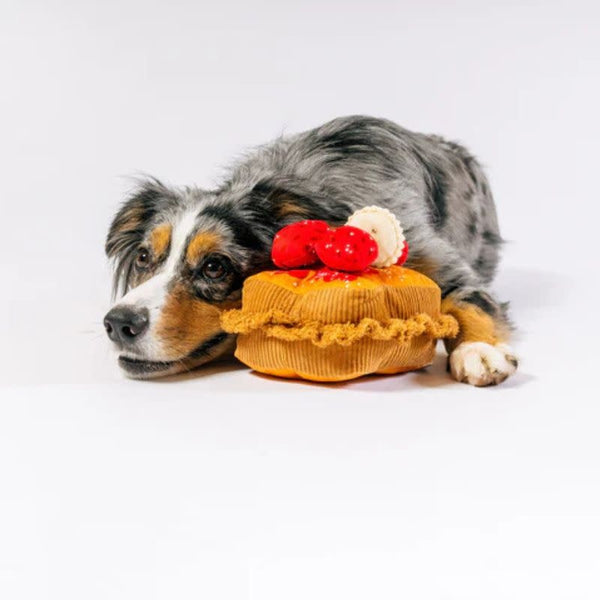 P.L.A.Y.  IHOP Thick 'N Fluffy French Toast Dog Toy