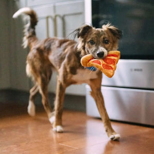 P.L.A.Y. Snack Attack Puppy-Roni Mini