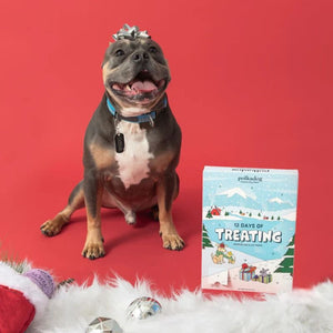 POLKA DOG 12 Days of Treating Calendar