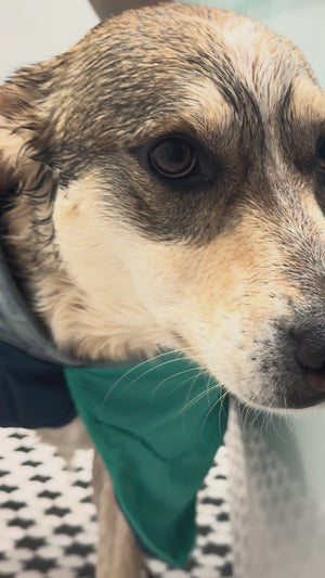 RUFFWEAR Dirtbag Dog Towel Aurora Teal