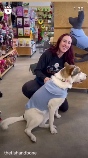 CANADA POOCH Weighted Calming Vest