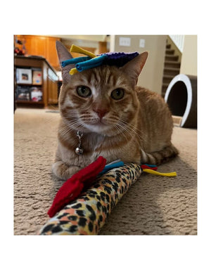 PROXIMA DESIGNS Rainbow Catnip Kicker Cat Toy
