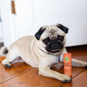 MAINE STREET BEE Paw Protector