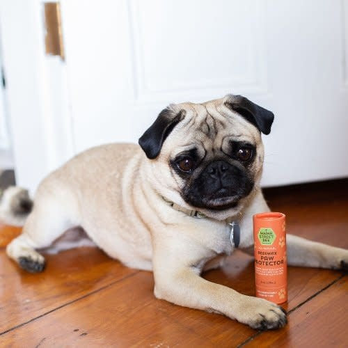 MAINE STREET BEE Paw Protector