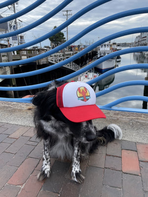 PUPLID Dog Trucker Hat Maine Lobster