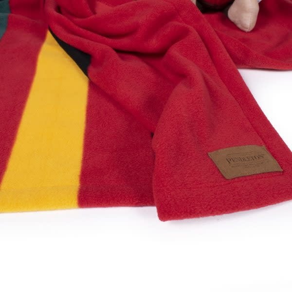 PENDLETON  PET National Parks Throw Mt. Rainier 30x40