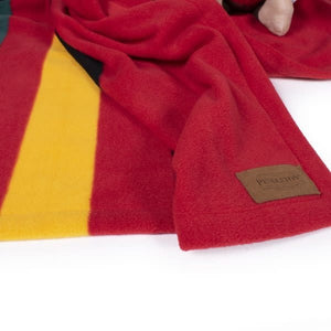 PENDLETON  PET National Parks Throw Mt. Rainier 30x40