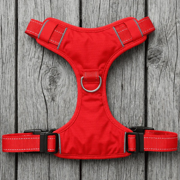 BAYDOG  Chesapeake Harness Red