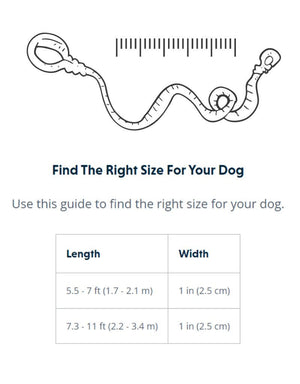 RUFFWEAR Roamer Leash Yellow Snow