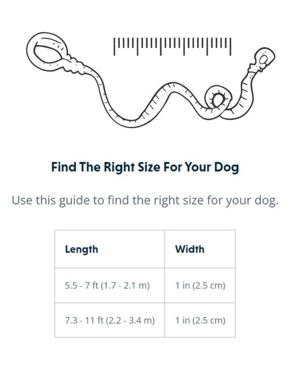 RUFFWEAR Roamer Leash Yellow Snow