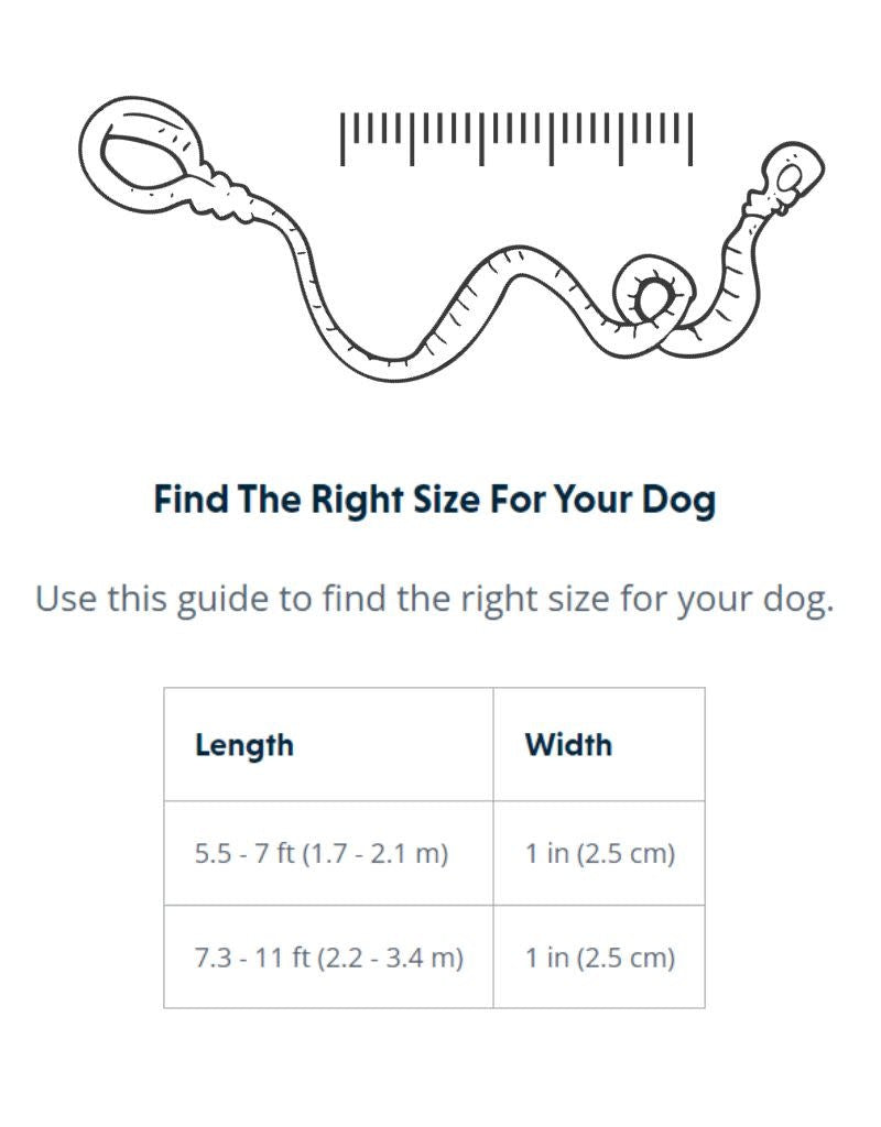 RUFFWEAR Roamer Leash Orion Blue