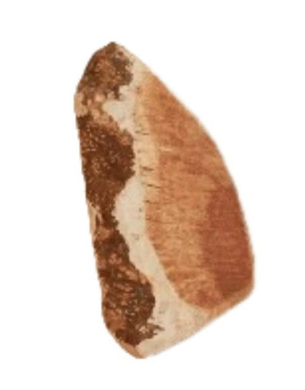 CANOPHERA Briar Wood Chew