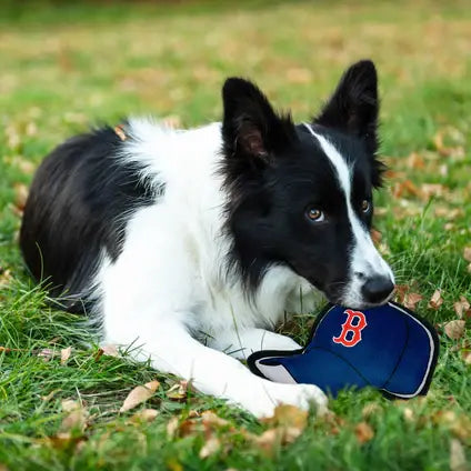 PETS FIRST CO. Red Sox Baseball Cap Toy