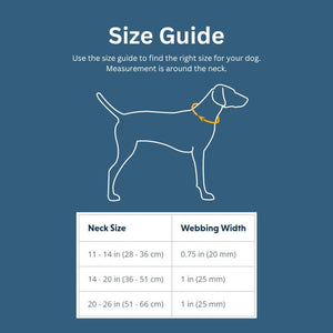 RUFFWEAR Front Range Collar Sweeping Sage