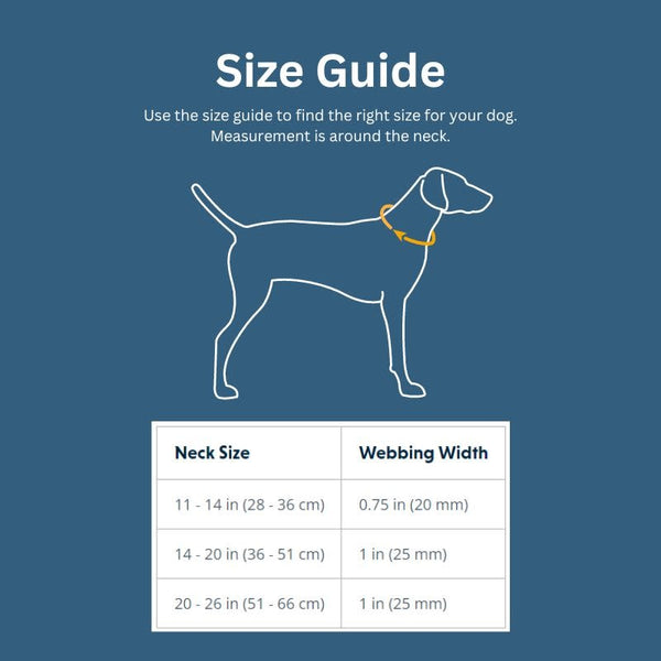 RUFFWEAR Front Range Collar Sweeping Sage