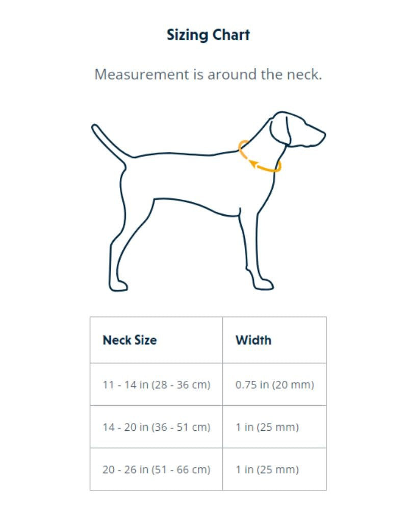 RUFFWEAR Front Range Collar Coastal Fade