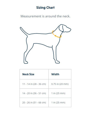 RUFFWEAR Front Range Collar Coastal Fade