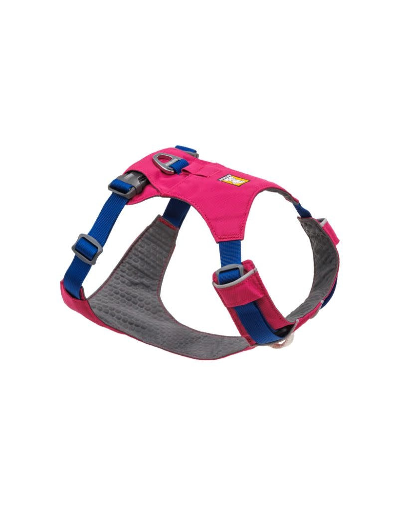 Harnesses, Leashes & Packs