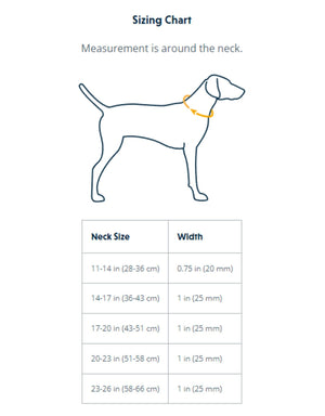 RUFFWEAR Web Reaction Martingale Dog Collar with Buckle Blue Pool