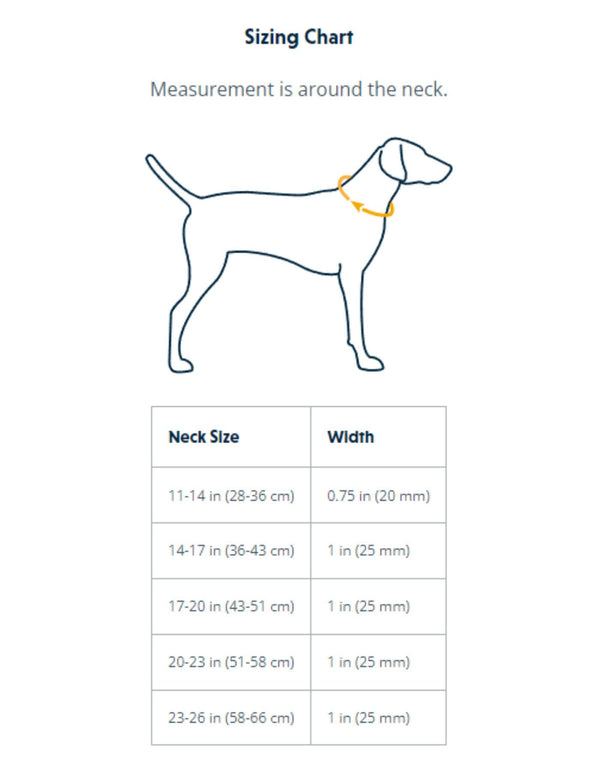 RUFFWEAR Web Reaction Martingale Dog Collar with Buckle Blue Pool