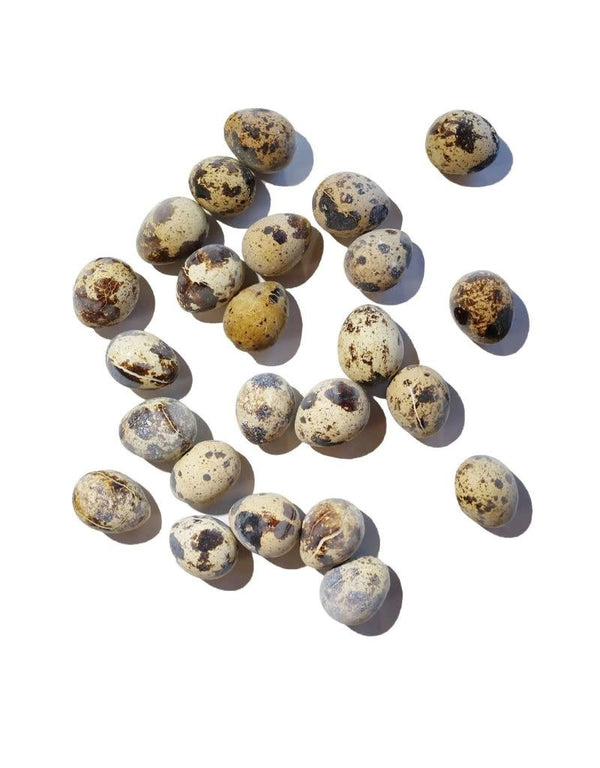 SAVAGE CAT Freeze-dried Quail Eggs 2.75oz