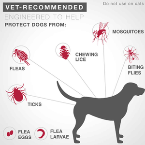 K9 ADVANTIX II Flea and Tick Spot Treatment for Dogs 2pk