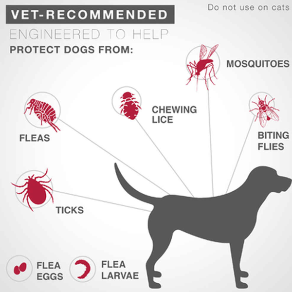 K9 ADVANTIX II Flea and Tick Spot Treatment for Dogs 2pk