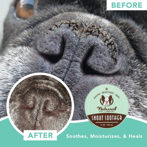 NATURAL DOG COMPANY Snout Soother
