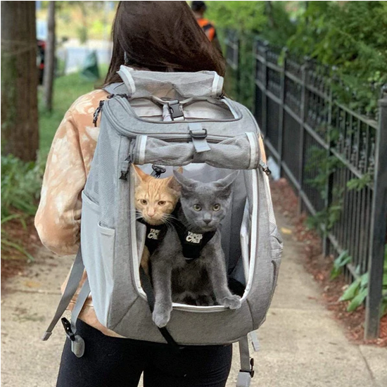 TRAVEL CAT The Navigator Backpack Heather Gray