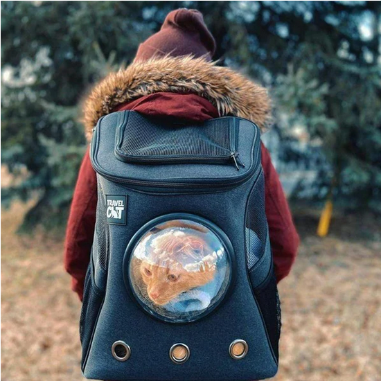 TRAVEL CAT Fat Cat Backpack Aqua