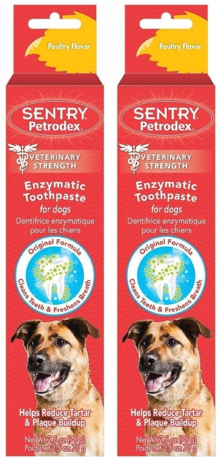 PETRODEX Enzymatic Toothpaste for Dogs Poultry Flavor 6.2 oz