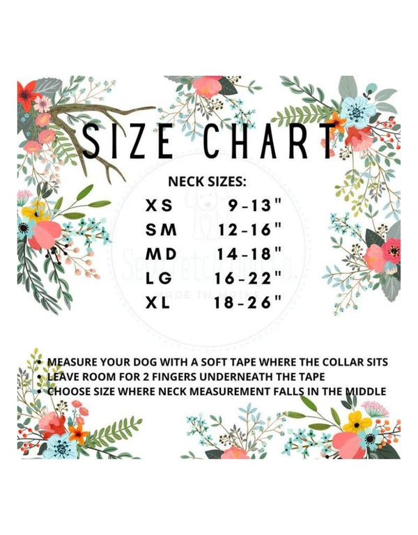 SEW FETCH Dog Collar Aqua Lobster