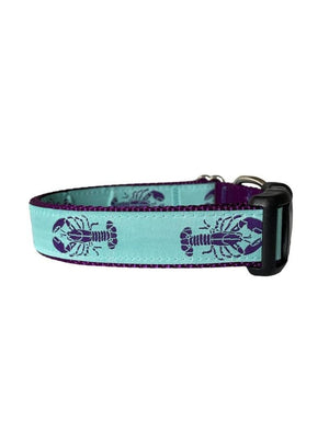 SEW FETCH Dog Collar Aqua Lobster
