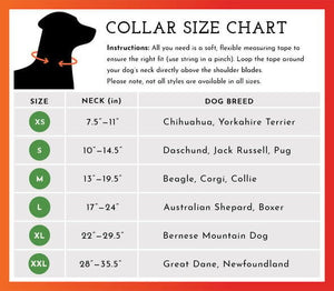 SPOT THE DOG Reflective Collar Blue