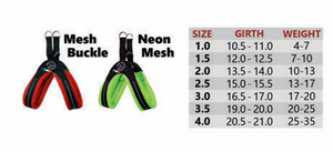 TRE PONTI Mesh Buckle Harness Black