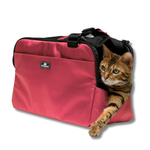 SLEEPYPOD Atom Carrier