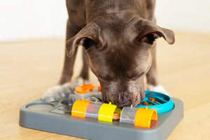 MESSY MUTTS Dog  Interactive Puzzle Feeder Rectangular