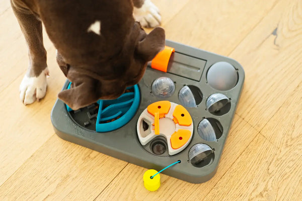 MESSY MUTTS Dog  Interactive Puzzle Feeder Rectangular