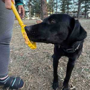 SODAPUP Lick Stick Hand-Held Interactive Enrichment Toy Beehive