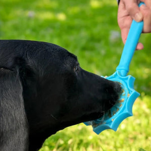 SODAPUP Lick Stick Hand-Held Interactive Enrichment Toy Flower