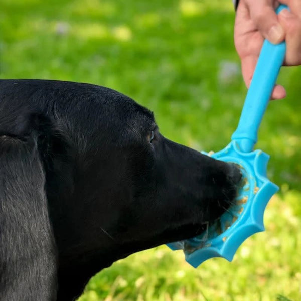 SODAPUP Lick Stick Hand-Held Interactive Enrichment Toy Flower