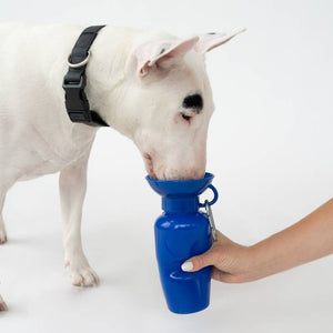 SPRINGER Classic Dog Water Travel Bowl