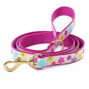 UP COUNTRY Spring Fever Lead