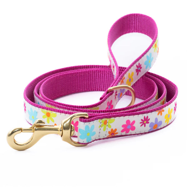 UP COUNTRY Spring Fever Lead