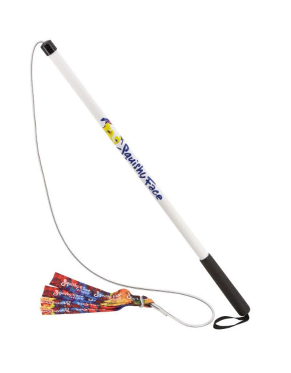 SQUISHY FACE STUDIO Flirt Pole V2 Dog Toy with Lure Rainbow Tie Dye with Squeakers