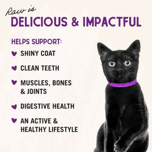 STELLA & CHEWY'S Freeze-dried Cat Food Bountiful Beef