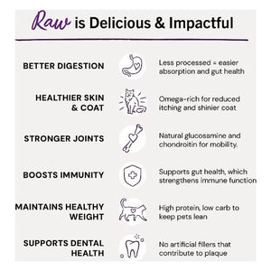 STELLA & CHEWY'S Frozen Cat Food Dinner Morsels Duck Duck Goose 1.25LB